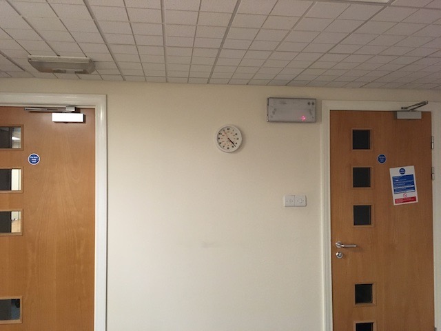 South wall 1