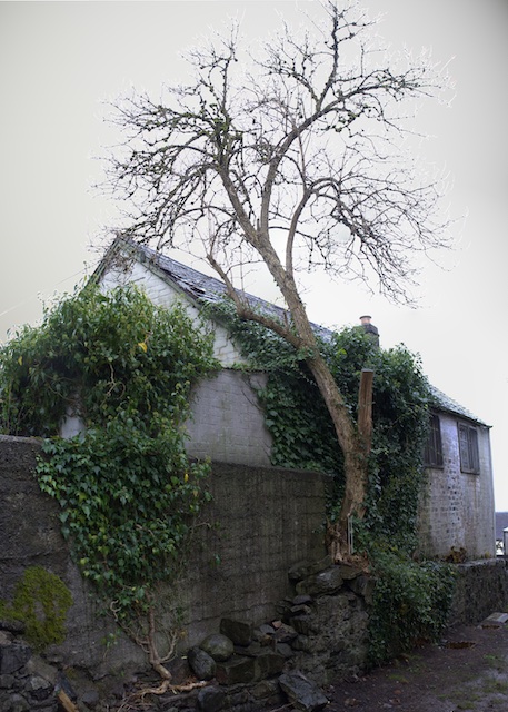  East boundary 
