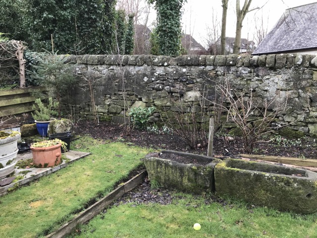 SW garden 01