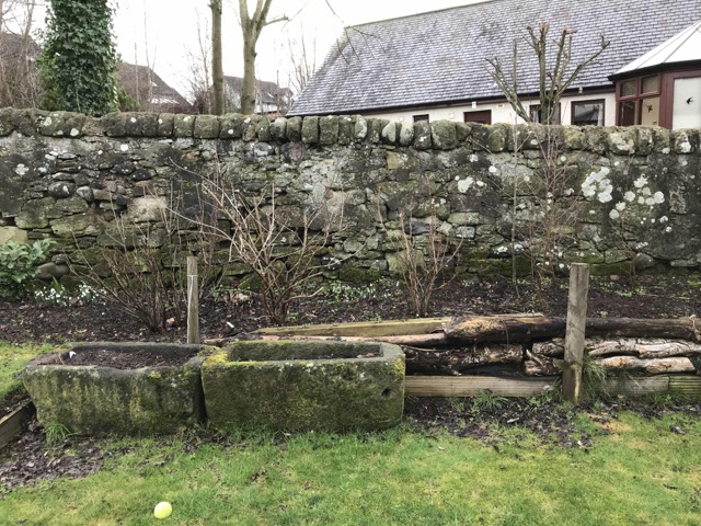 SW garden 02