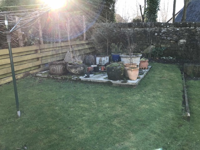 SW garden 04