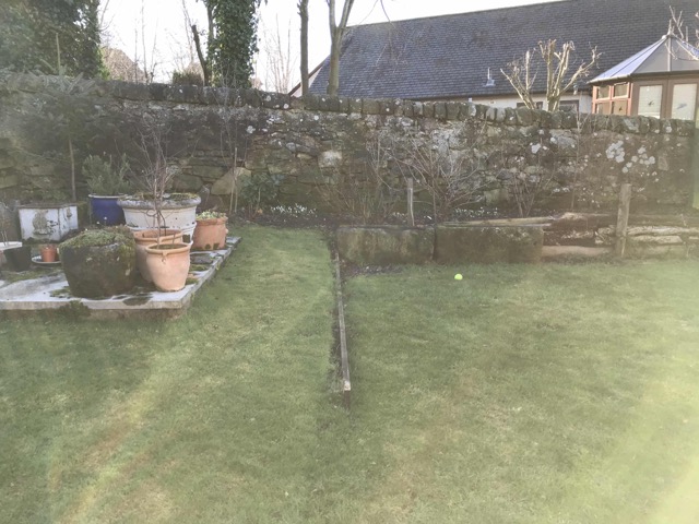 SW garden 05