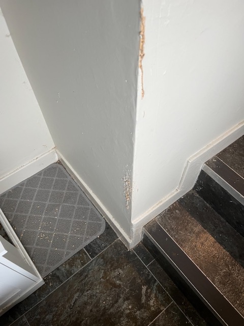 img_5612-sq.jpg