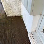 img_4725-sq.jpg