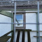 img_4736-sq.jpg